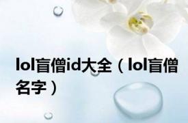 lol盲僧id大全（lol盲僧名字）