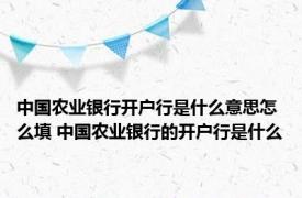 中国农业银行开户行是什么意思怎么填 中国农业银行的开户行是什么