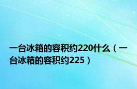 一台冰箱的容积约220什么（一台冰箱的容积约225）