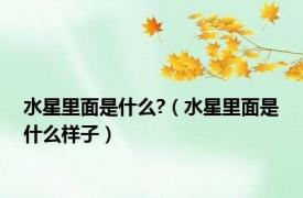 水星里面是什么?（水星里面是什么样子）