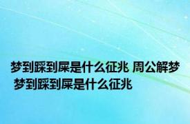 梦到踩到屎是什么征兆 周公解梦 梦到踩到屎是什么征兆