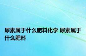 尿素属于什么肥料化学 尿素属于什么肥料