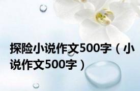 探险小说作文500字（小说作文500字）