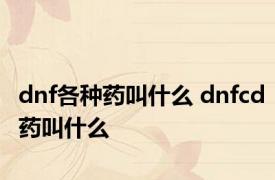 dnf各种药叫什么 dnfcd药叫什么