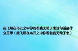 我飞翔在乌云之中你看着我无动于衷这句话是什么意思（我飞翔在乌云之中你看着我无动于衷）