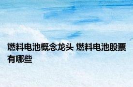 燃料电池概念龙头 燃料电池股票有哪些