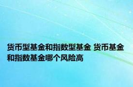 货币型基金和指数型基金 货币基金和指数基金哪个风险高