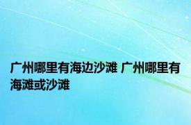 广州哪里有海边沙滩 广州哪里有海滩或沙滩