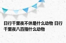 日行千里夜不休是什么动物 日行千里夜八百指什么动物