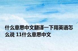 什么意思中文翻译一下用英语怎么说 11什么意思中文