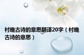 村晚古诗的意思翻译20字（村晚古诗的意思）