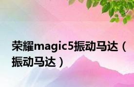 荣耀magic5振动马达（振动马达）