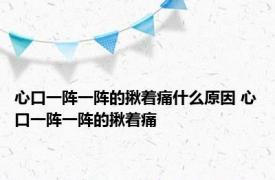 心口一阵一阵的揪着痛什么原因 心口一阵一阵的揪着痛 