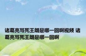 诸葛亮骂死王朗是哪一回啊视频 诸葛亮骂死王朗是哪一回啊