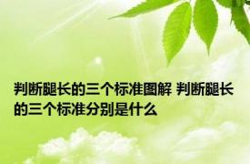 判断腿长的三个标准图解 判断腿长的三个标准分别是什么