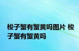 梭子蟹有蟹黄吗图片 梭子蟹有蟹黄吗