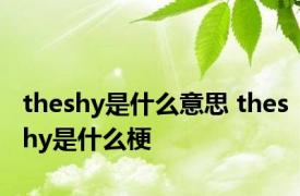 theshy是什么意思 theshy是什么梗