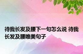 待我长发及腰下一句怎么说 待我长发及腰唯美句子