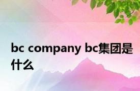 bc company bc集团是什么