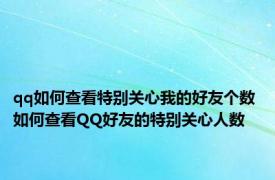 qq如何查看特别关心我的好友个数 如何查看QQ好友的特别关心人数