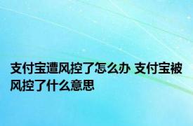 支付宝遭风控了怎么办 支付宝被风控了什么意思