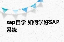 sap自学 如何学好SAP系统