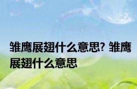 雏鹰展翅什么意思? 雏鹰展翅什么意思