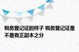 税务登记证的样子 税务登记证是不是有正副本之分