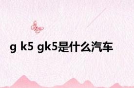 g k5 gk5是什么汽车