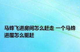 马蜂飞进房间怎么赶走 一个马蜂进屋怎么驱赶