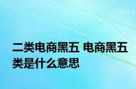 二类电商黑五 电商黑五类是什么意思