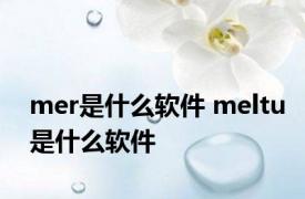 mer是什么软件 meltu是什么软件