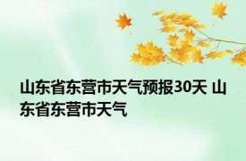 山东省东营市天气预报30天 山东省东营市天气 