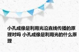 小孔成像是利用光沿直线传播的原理对吗 小孔成像是利用光的什么原理