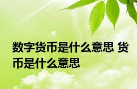 数字货币是什么意思 货币是什么意思