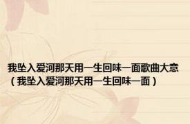 我坠入爱河那天用一生回味一面歌曲大意（我坠入爱河那天用一生回味一面）