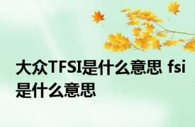 大众TFSI是什么意思 fsi是什么意思