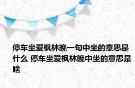 停车坐爱枫林晚一句中坐的意思是什么 停车坐爱枫林晚中坐的意思是啥