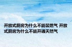 开放式厨房为什么不能装燃气 开放式厨房为什么不能开通天然气