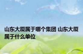 山东大厦属于哪个集团 山东大厦属于什么单位