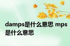 damps是什么意思 mps是什么意思