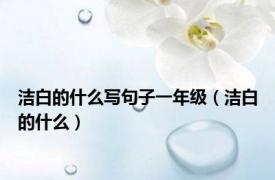 洁白的什么写句子一年级（洁白的什么）