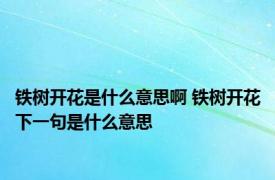 铁树开花是什么意思啊 铁树开花下一句是什么意思