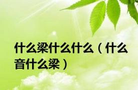 什么梁什么什么（什么音什么梁）