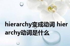 hierarchy变成动词 hierarchy动词是什么