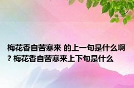 梅花香自苦寒来 的上一句是什么啊? 梅花香自苦寒来上下句是什么