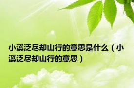 小溪泛尽却山行的意思是什么（小溪泛尽却山行的意思）