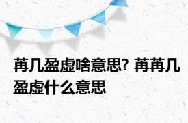 苒几盈虚啥意思? 苒苒几盈虚什么意思