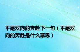 不是双向的奔赴下一句（不是双向的奔赴是什么意思）