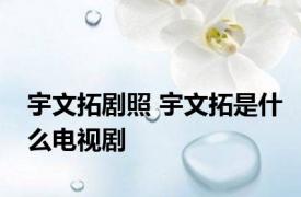 宇文拓剧照 宇文拓是什么电视剧